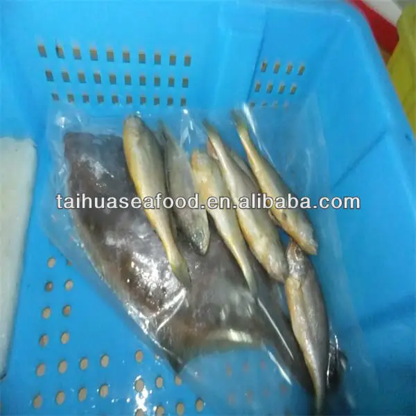 iqf fish fillets