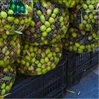 Diamond mesh olive olive harvest net from factory