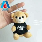 Teddy Bear 10cm Plush Teddy Bear Keychain Toy with Logo Print T-shirt /promotion Plush Toy