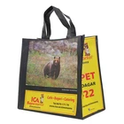 Customized design Full color printing Wholesale PP Non woven bag Cheap price tote non-woven shopping bag