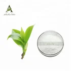 Natural Green Tea Extract 90% 95% 98% Epicatechin powder