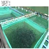 /product-detail/chinese-supplier-fish-farming-sea-cages-60672647872.html