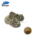 Pure Extract Natur Extract Wholesale Natural 100 Pure Coriolus Versicolor Mycelium Extract Powder