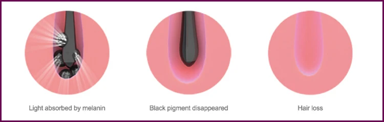 Hot sale new no side effects disease detective machines