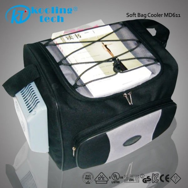 Peltier Thermoelectric Cooler 12v Portable Cooler Bag With Radio Buy