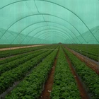 135g Brise Vegetable Greenhouse Shade Net