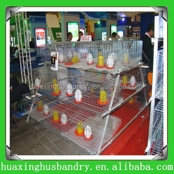 automatic pullet cage