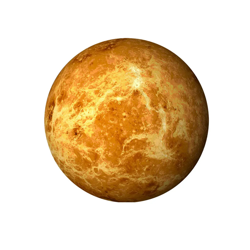 C1-8787-1