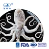 /product-detail/frozen-big-octopus-long-leg-octopus-octopus-variabilis-60721238257.html