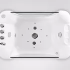 professional supplier from china/dog bathtub/acrylic small dog grooming bath tub
