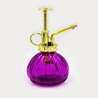 200ml fancy garden plant flower watering pumpkin shape glass mist sprayer bottle with pump dispenser