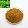/product-detail/factory-supply-green-tea-extract-green-tea-extract-powder-egcg-98-with-best-price-60792524777.html