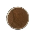 Professional manufacturer natural guava leaf extract powder