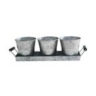Galvanized Metal Garden Kitchen Herb Pots Set