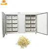 automatic bean sprout growing machine automatic bean sprout maker machine