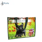 Lovely Customized Logo Promotion Non-woven/PP Woven Bags