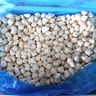 Good Price fresh Frozen Bay Scallop Meat