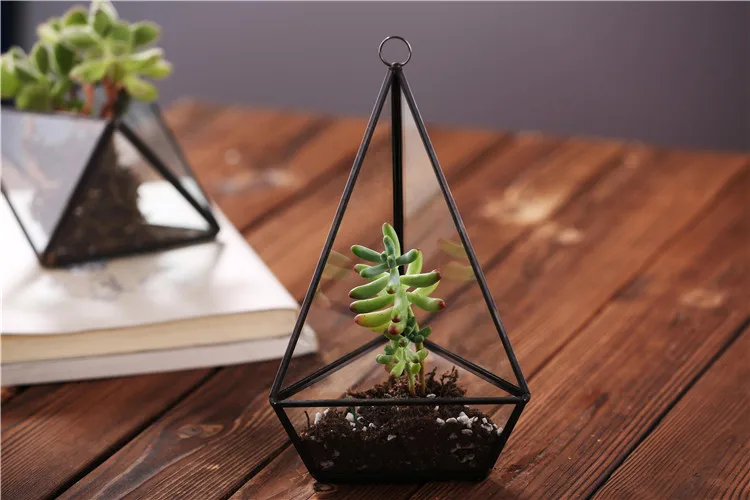 glass terrarium (1).jpg