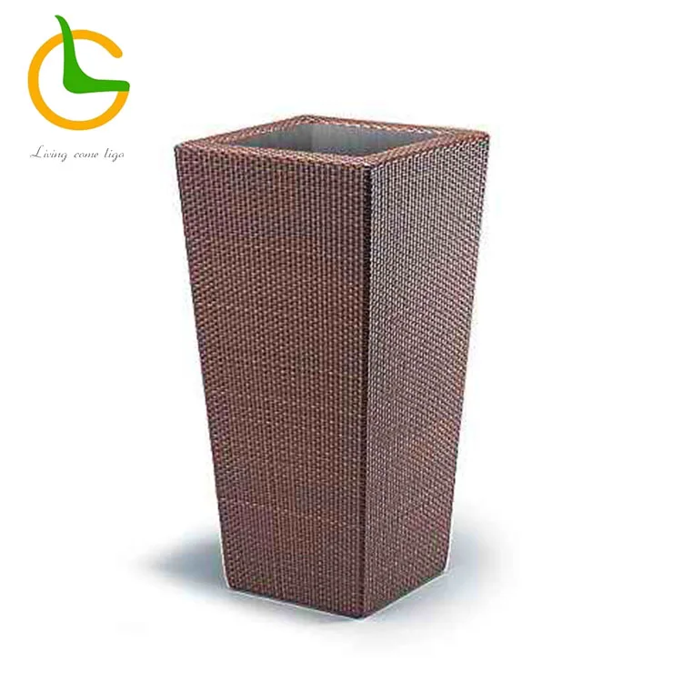 LG10-1002 .jpg