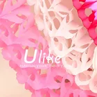 3M Wedding Paper Flower Garlands Tissue Paper Tassel Garland
