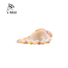 Decorative and Multifunctional Polyresin Sashimi Plates and Bowls Conch Shape Home Restaurant and Hotel Dinnerware Set