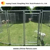 powder painted wire mesh fencing dog kennel