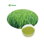 Factory Supply Private Label Organic Wheat Grass Powder Private Label Wheat Grass