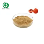 Gac Fruit Fruit Fruit Powder Gac Fruit / Momordica Cochinchinensis Powder