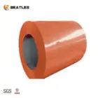 Print/Prepainted galvanized Steel Coil (PPGI/PPGL) / Color Coated Galvanized Steel