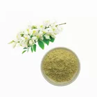 Anti-Cancer Kaempferol Powder Sophora Japonica Extract