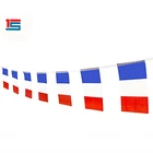 Stoter France Banner Flag, 100 Feet French Flag National Country Pennant Flags Banner,Party Decorations