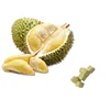 MALAYSIA IQF HIGH QUALITY FROZEN DURIAN WITH RICH FLAVOR CREAMY TASTE MUSANG KING