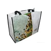 cheap bulk reusable pp woven handle clear shopping bags
