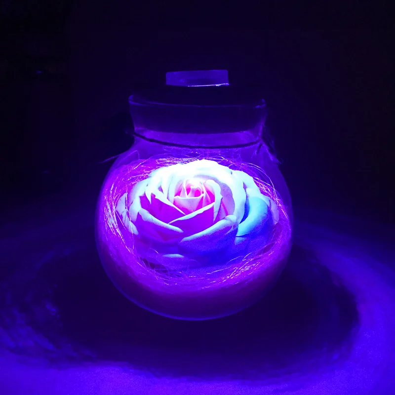 Led Romantic Rose Flower Night Light Lucky Bottle RGB Dimmer Lamp With 16 Color Remote Holiday Gift For Lover Girl Bedroom Decor (18)