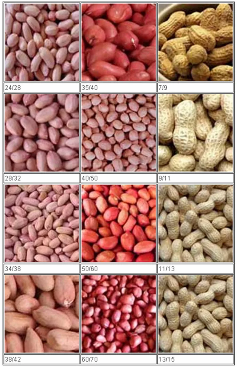 Environmental Peanut Sheller