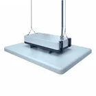 Outdoor IP65 IK10 Warm White 60W 100W Led High Bay Light With Low UGR19