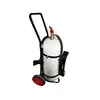 Factory Direct Sale Bonpet Automatic 9Kg Co2 Fire Extinguisher