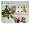 Great Material Little Dragon Package Take Away Food Package Cake Box Large