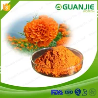 Supply High Quality Free Sample 100