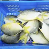 New Wholesale Seafood Whole Round Frozen Golden Pomfret/Pompano Fish