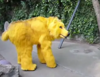 life size bear costume