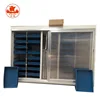 High Quality Mung Bean Sprout Machine,Bean Sprout Making Machine,Barley Bean Sprout Machine,