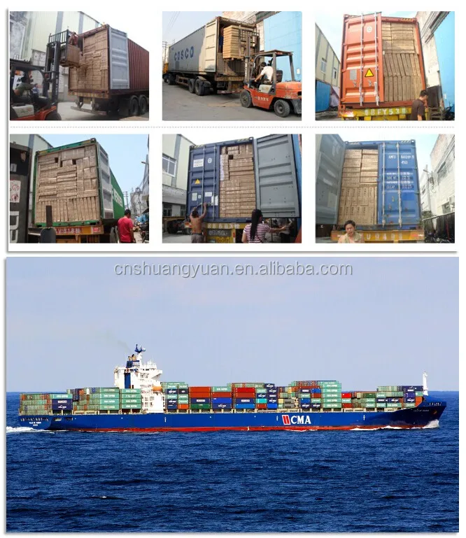Loading Container & Shipping.jpg