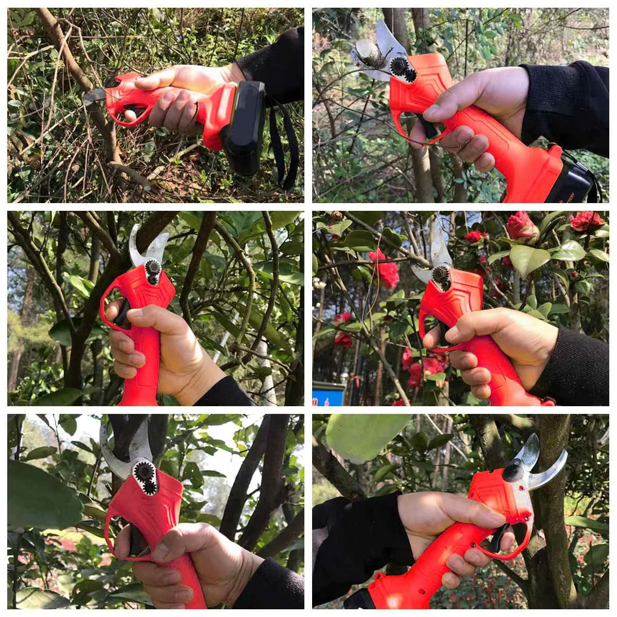 pruning shears (3).jpg