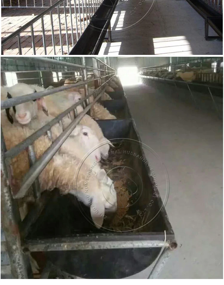 Livestock Farm Breeding Equipment Sheep And Goat Feed Slot Trough