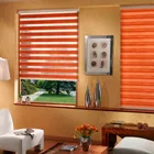 Bedroom Decoration Window Design Colorful Mini Zebra Roller Blind For Girls Preference