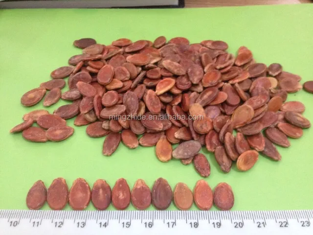 chinese black /red water melon seeds