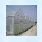 Customized Multi-span Plastic-film Greenhouse