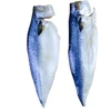 Sea fish pacific mackerel fillet sea fish pacific mackerel fillet