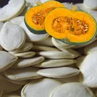 Yellow Squash Pumpkin Seeds for Sale